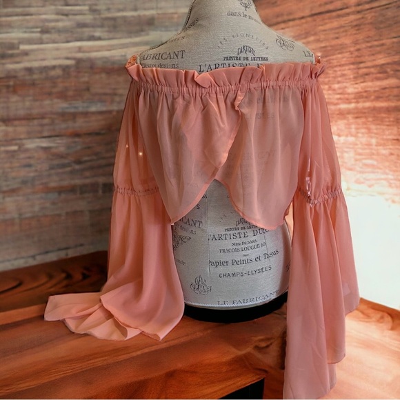 Feel beautiful in this romantic ruffled semi-sheer and feminine peach blouse - Picture 4 of 16